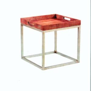 Tray Table